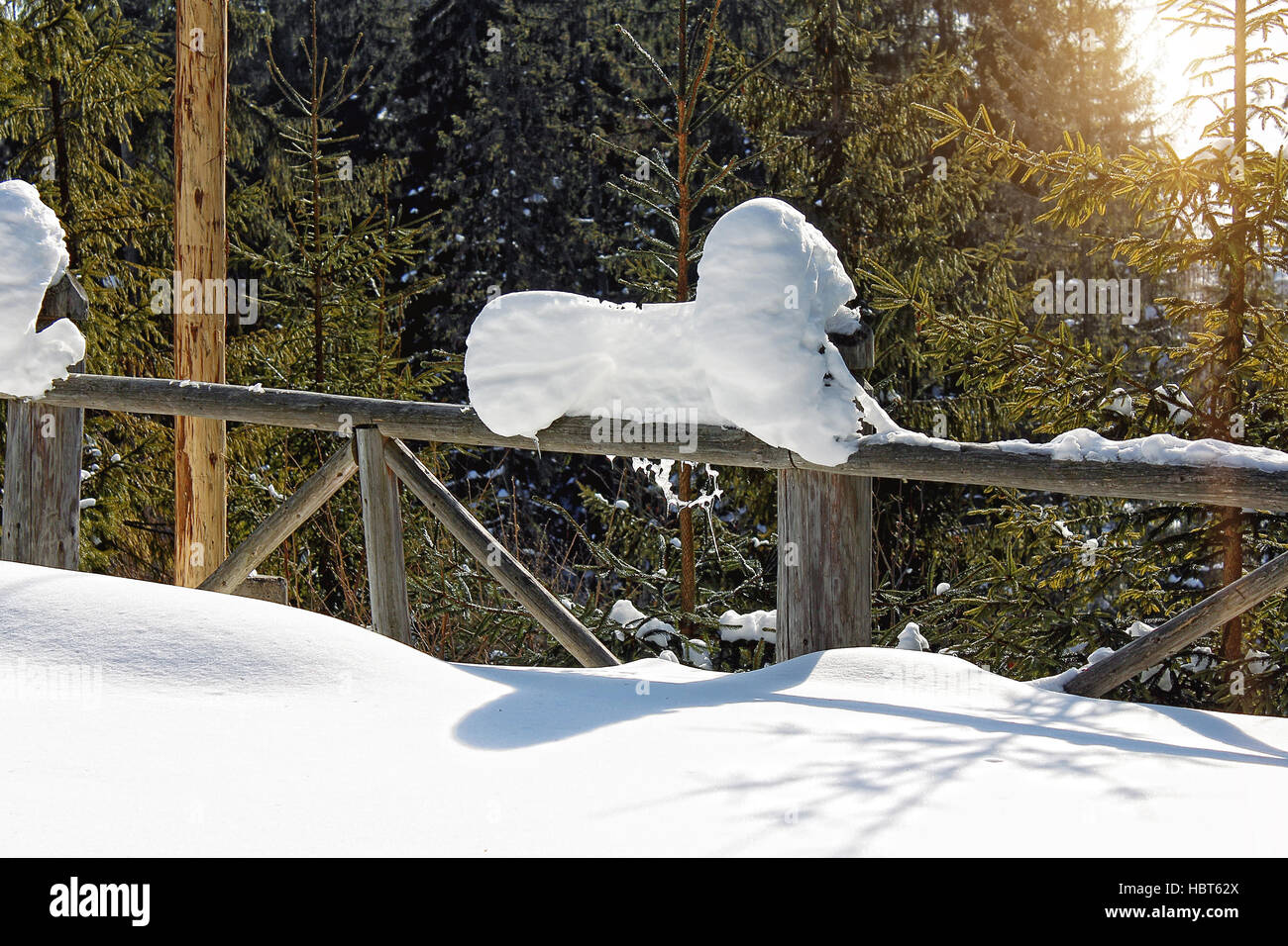 Snowbank on old wooden fence over forest background, wintry rural landscape in sunny day Stock Photo