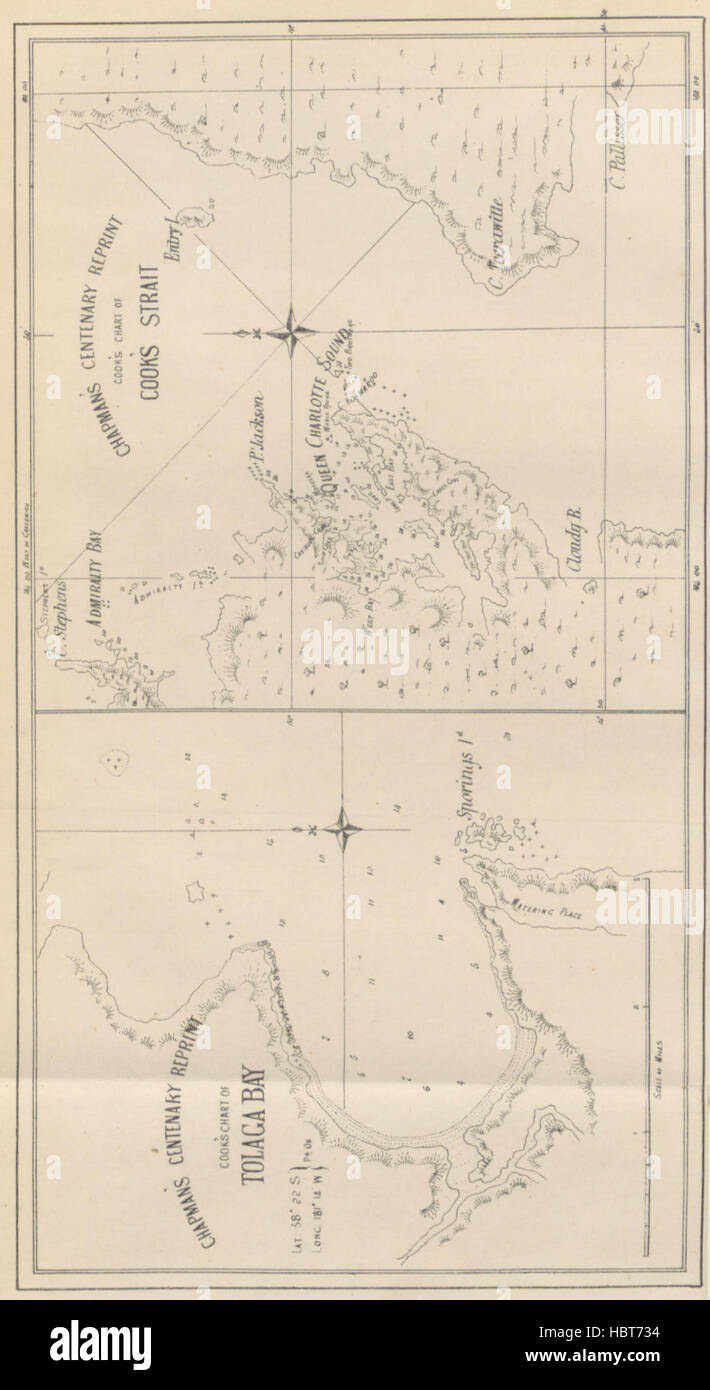 Chapman's Centenary Memorial of Captain Cook's Description of New ...