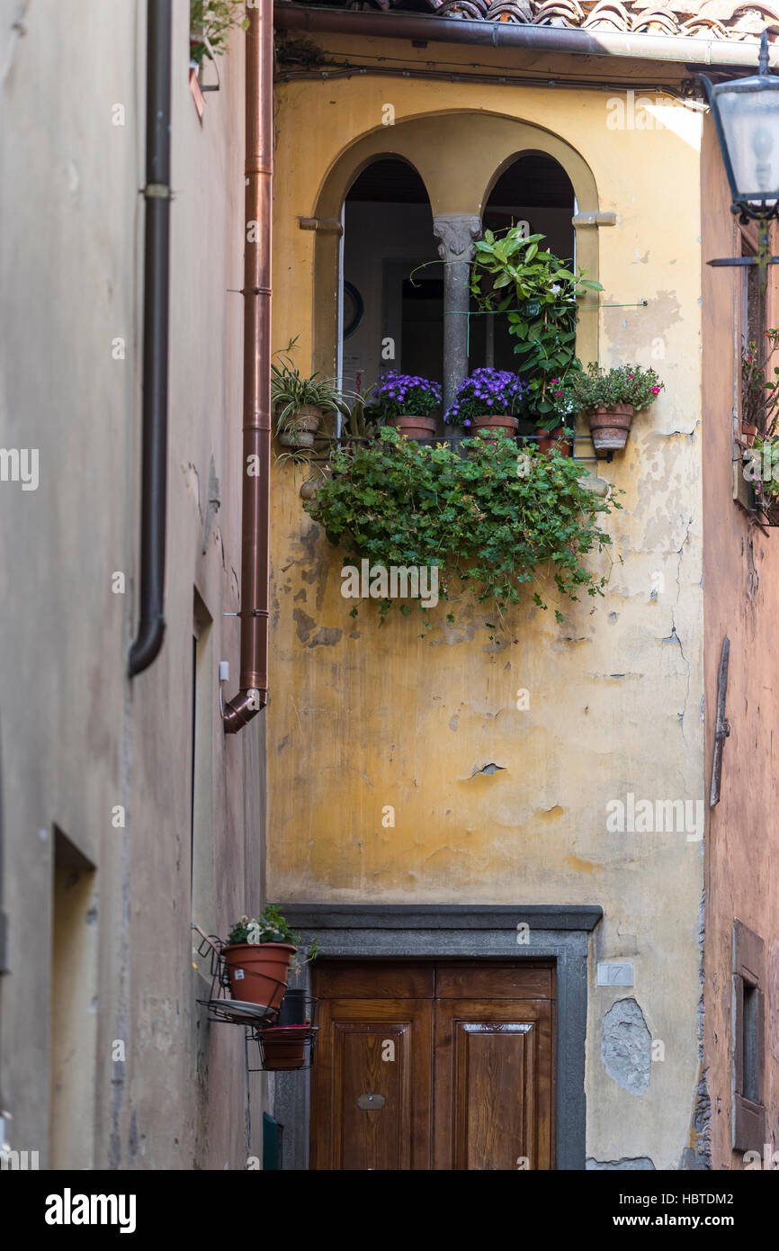 A window box. The medieval hilltop town of Barga, in Tuscany, Italy. Stock Photo