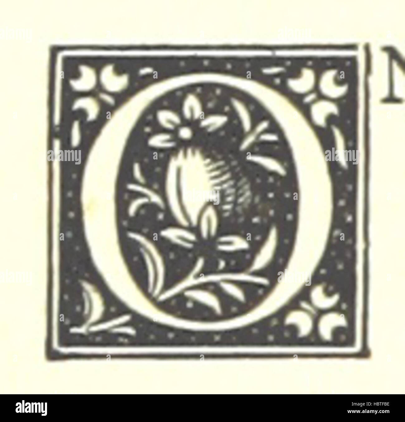 Image taken from page 172 of 'The “Nausicaa.” A love story' Image taken from page 172 of 'The “Nausicaa” A love Stock Photo