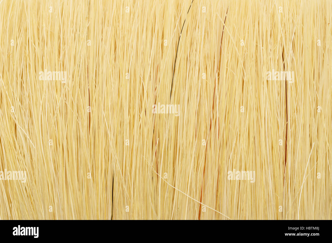 paint brush hair Stock Photo Alamy