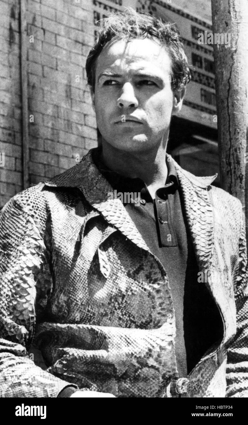 THE FUGITIVE KIND, Marlon Brando, 1959, jacket Stock Photo