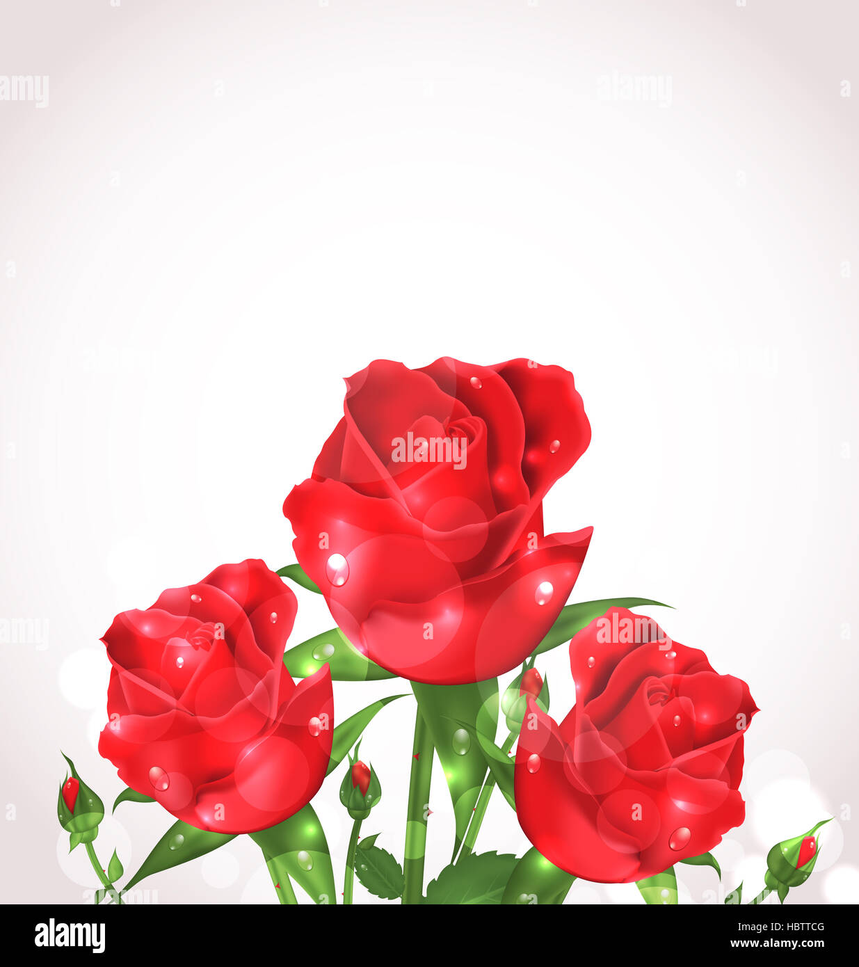 Three roses for design wedding card Stock Photo - Alamy
