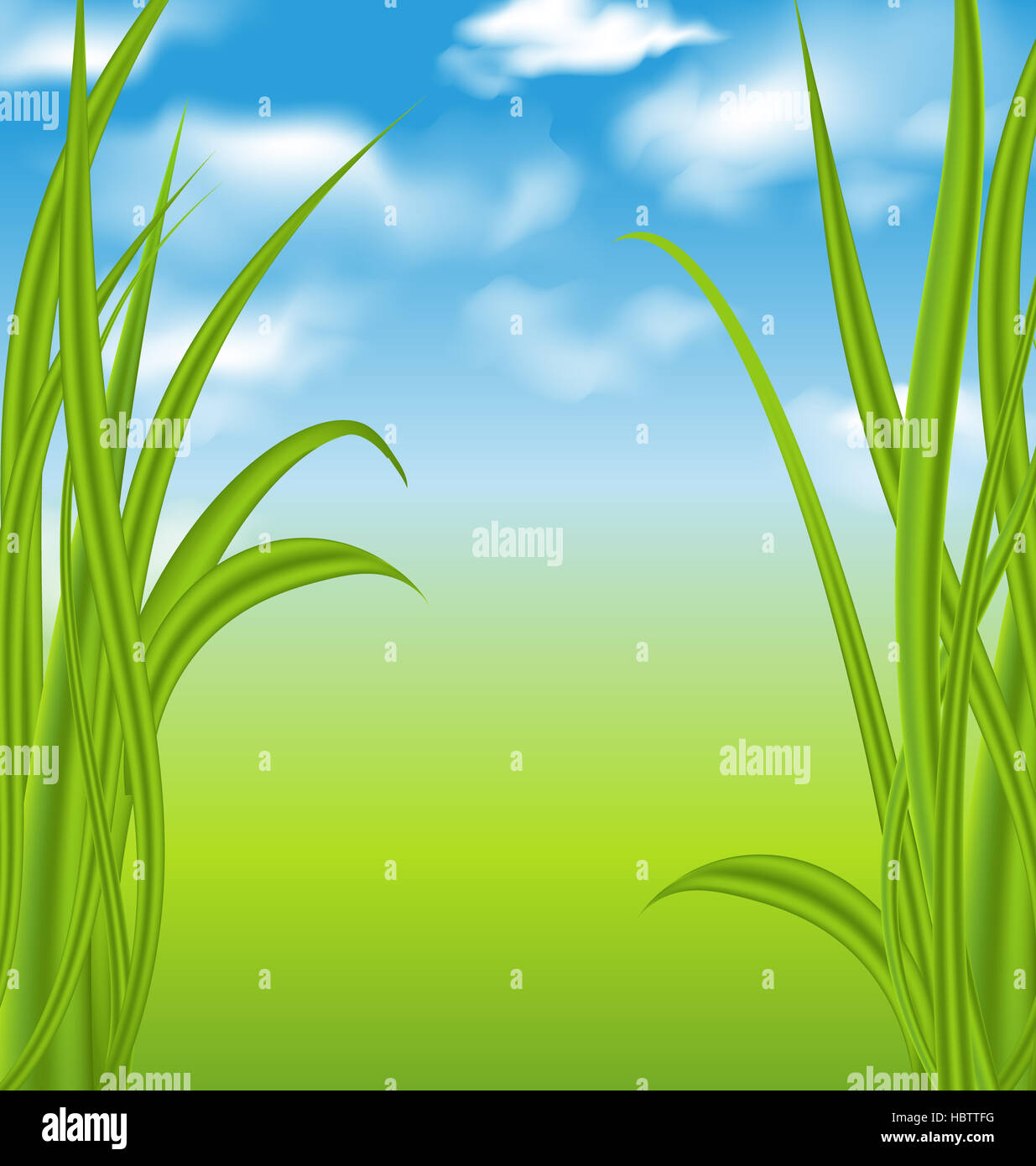 Nature background with green grass and sky Stock Photo - Alamy