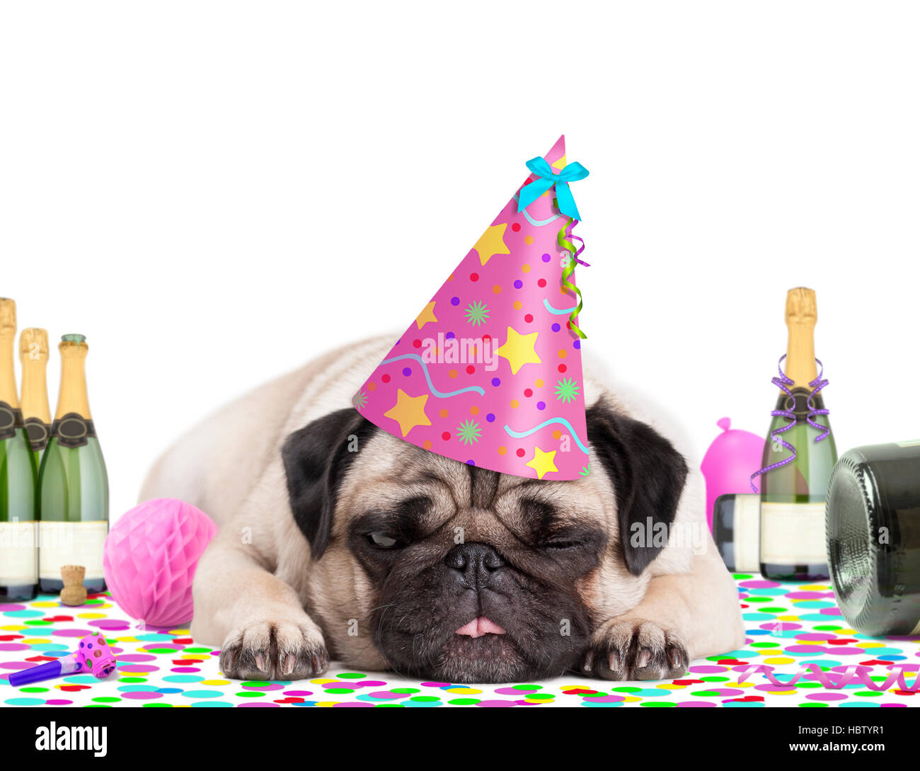 cute pug puppy dog wearing party hat, lying down on confetti, fed up