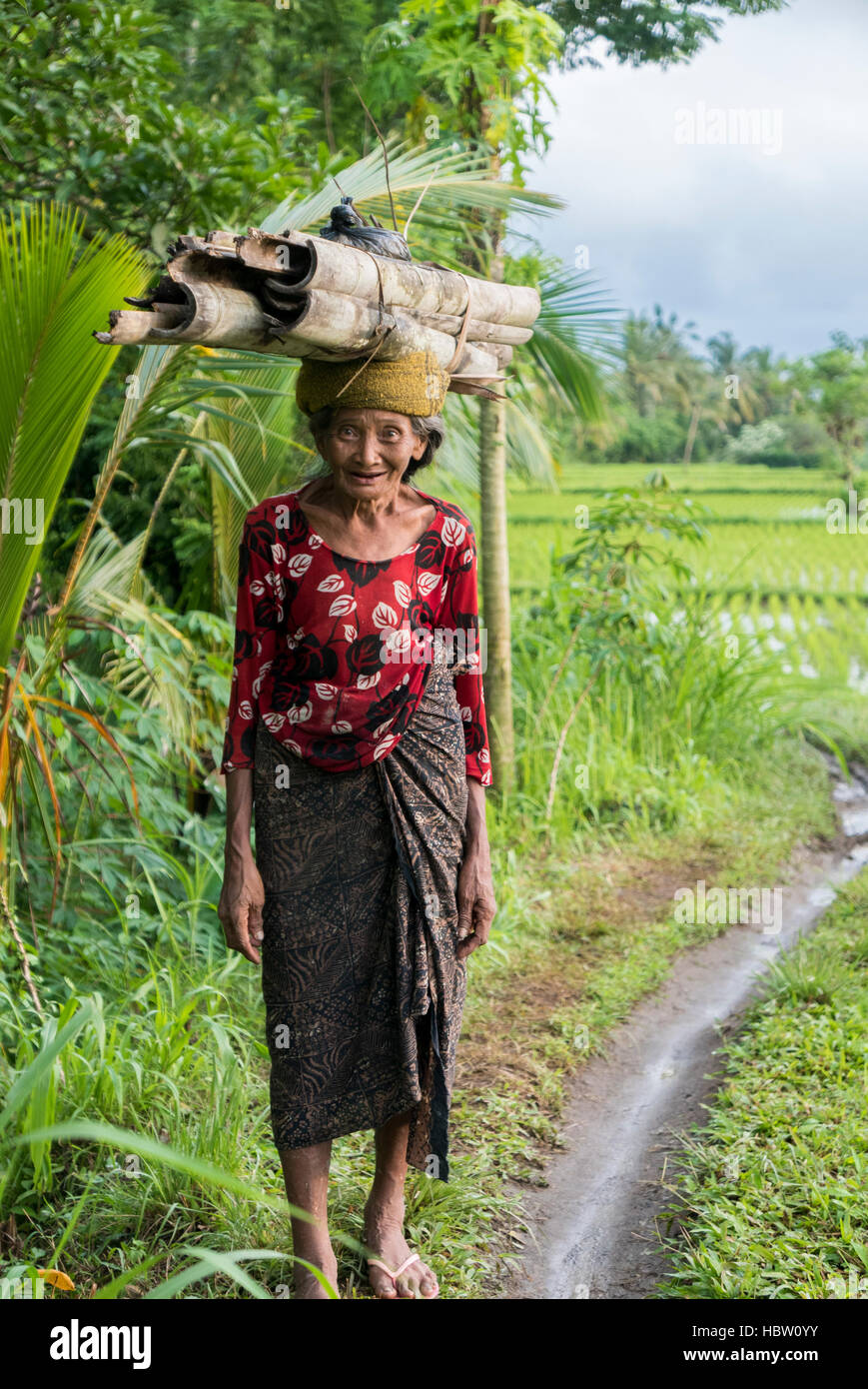 Indonesian woman farmer walking through the rice fields in Ubud, Bali Stock Photo