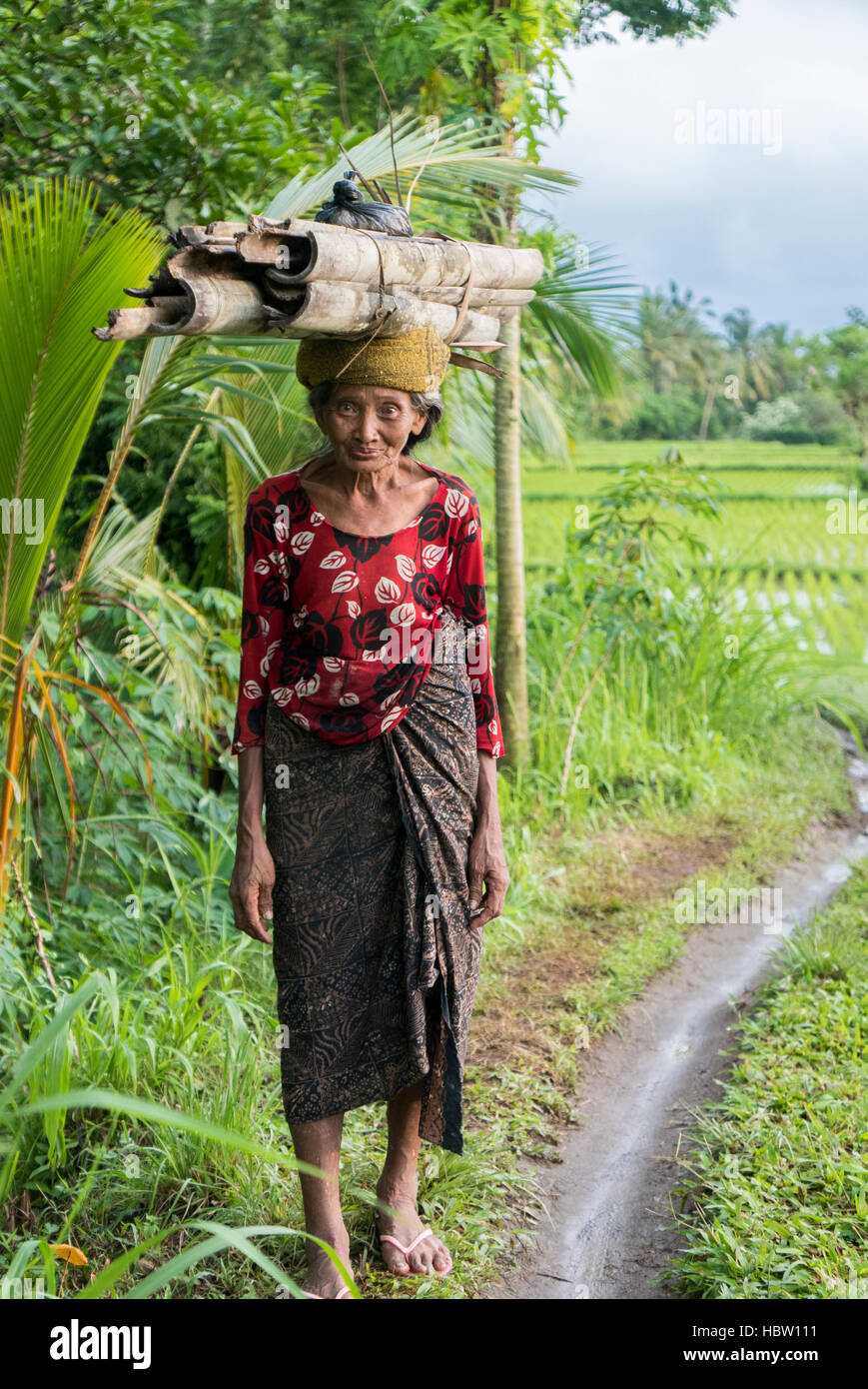 Indonesian woman farmer walking through the rice fields in Ubud, Bali Stock Photo