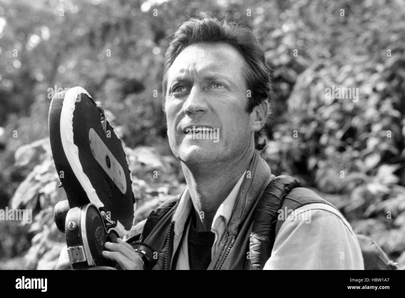 GORILLAS IN THE MIST, Bryan Brown, 1988. ©Universal/courtesy Everett Collection Stock Photo Alamy GORILLAS IN THE MIST, Bryan Brown, 1988. ©Universal/courtesy Everett Collection Stock Photo Alamy