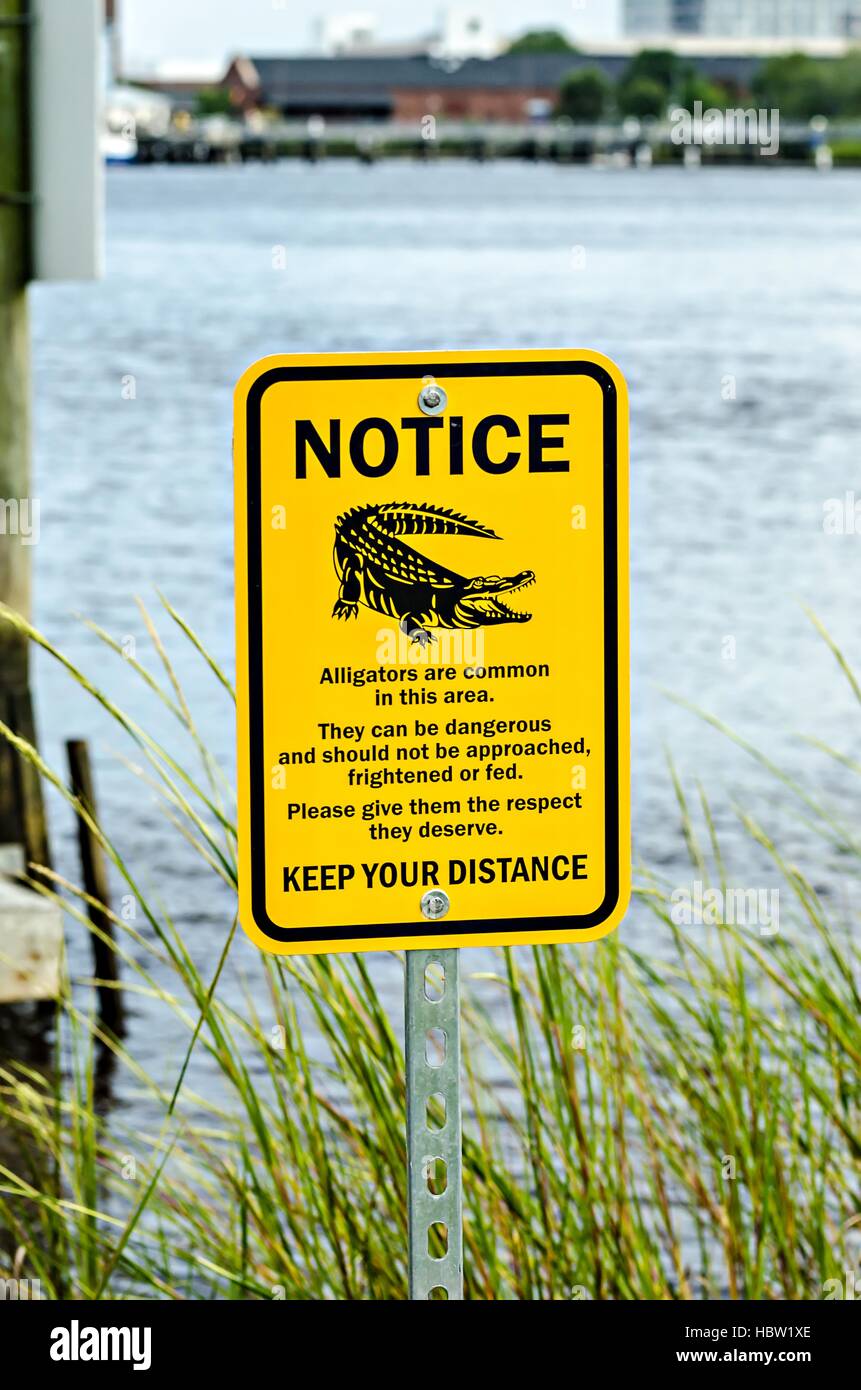 alligator warning sign notice near water Stock Photo
