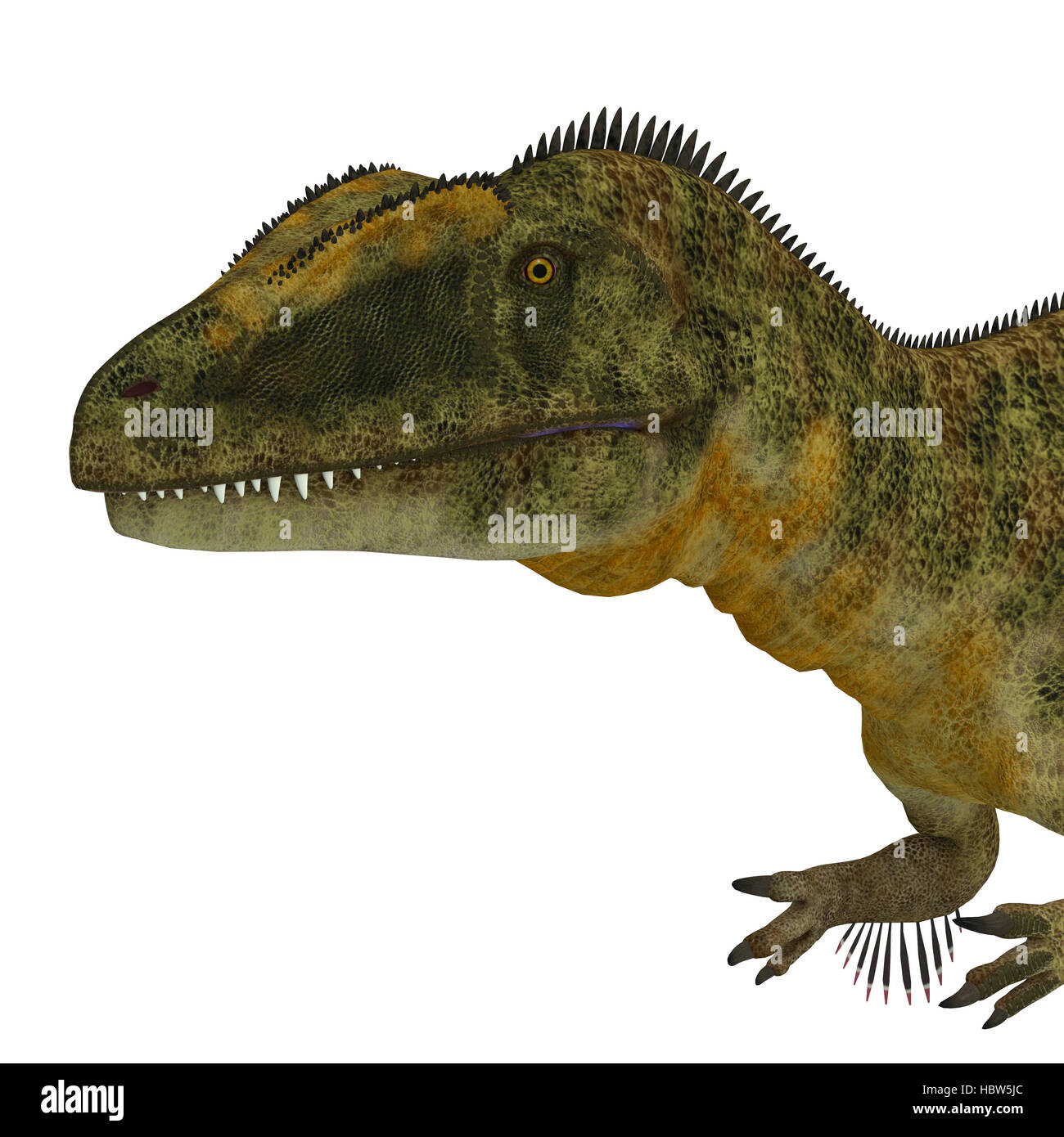 Concavenator was a carnivorous theropod dinosaur that lived in Spain in ...