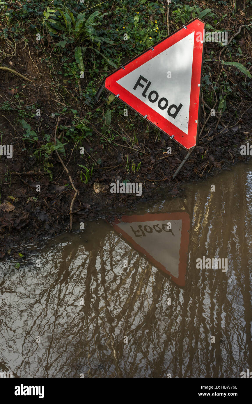 Flooded country lane near the midCornwall town of Lostwithiel