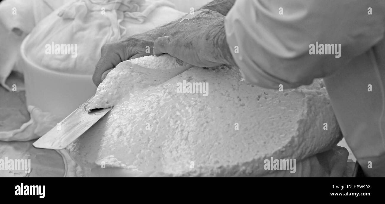 with a sharp knife a skilled cheesemaker cuts the cheese freshly prepared Stock Photo
