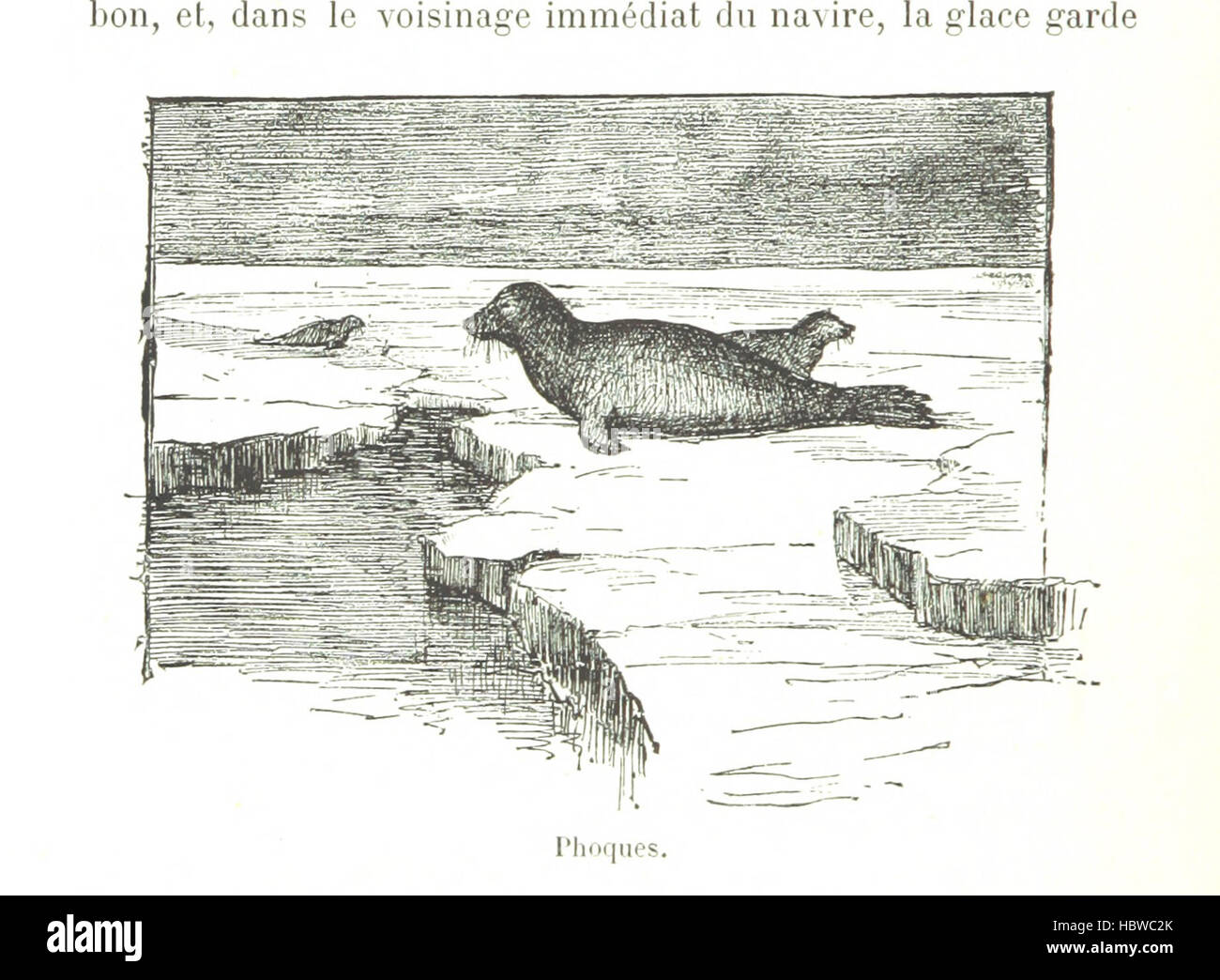 [The Voyage of the Jeannette.] Voyage de la Jeannette. Journal de l'expédition édité par les soins de la veuve de l'auteur Mme Emma de Long, et traduit de l'anglais avec son autorisation par Frédéric Bernard. Ouvrage contenant 62 gravures, etc. [With a portrait.] Image taken from page 116 of '[The Voyage of the Stock Photo