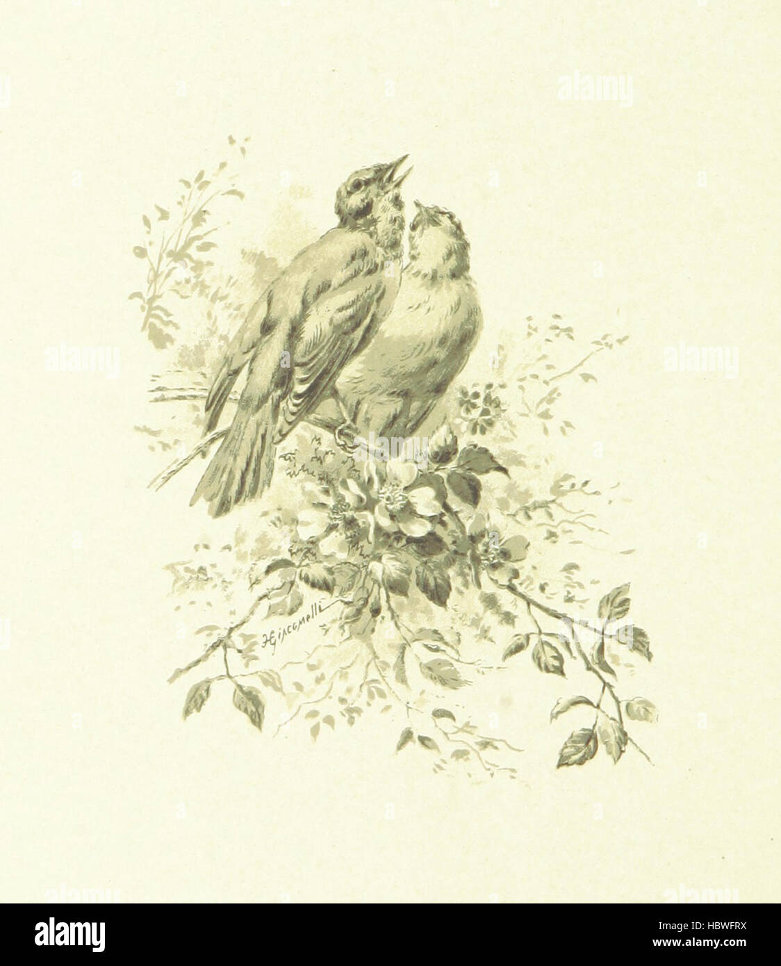 Image taken from page 4 of 'Spring (Summer-Autumn-Winter) songs and sketches' Image taken from page 4 of 'Spring (Summer-Autumn-Winter) songs and Stock Photo