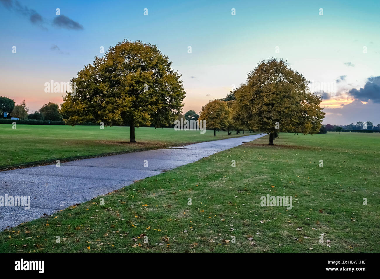 Taken on a walk in my local park in Hainault, Essex on an October evening. Stock Photo