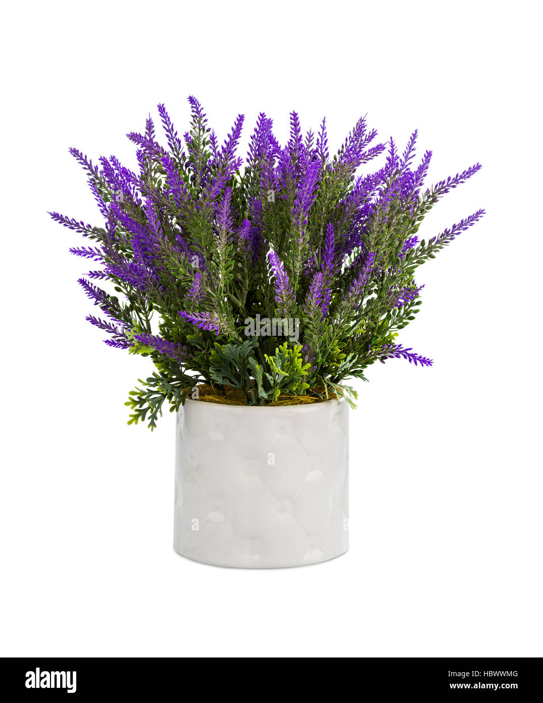 Lavender in vase Stock Photo Alamy