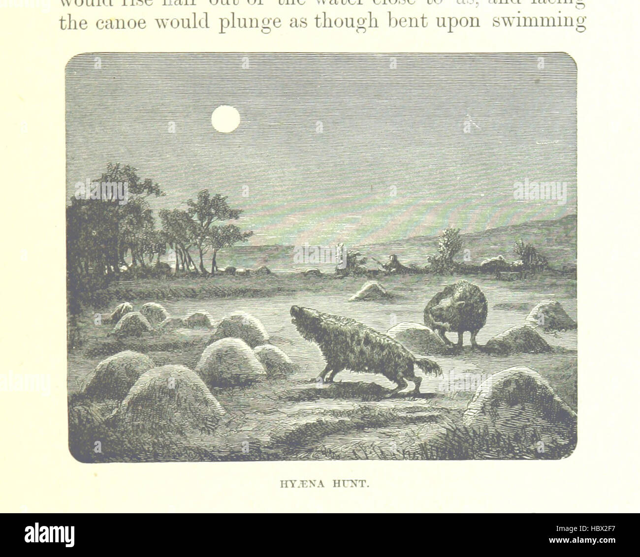 This image, taken from page 455 of 'Great Explorers of Africa ...