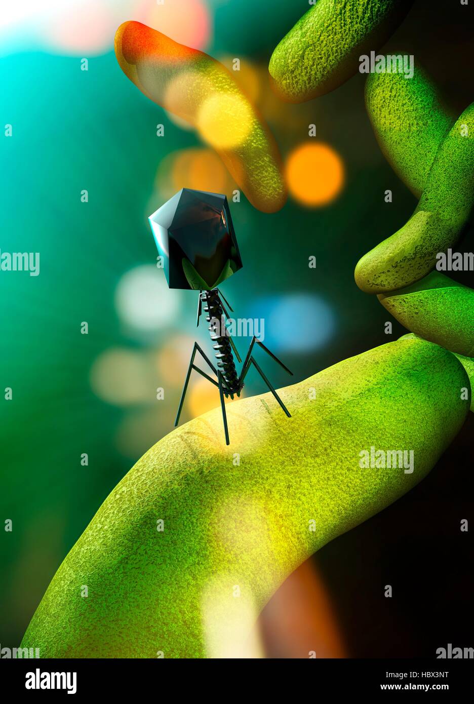 Phage hi-res stock photography and images - Alamy