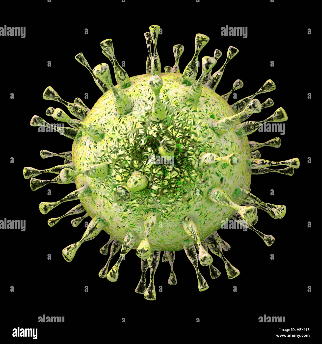 Human cytomegalovirus (HCMV), computer illustration. HCMV is a member of the herpesvirus family. It has a high infection rate and is a major cause of disease in vulnerable newborns and immunocompromised patients, but does not typically cause disease in healthy adults. Stock Photo