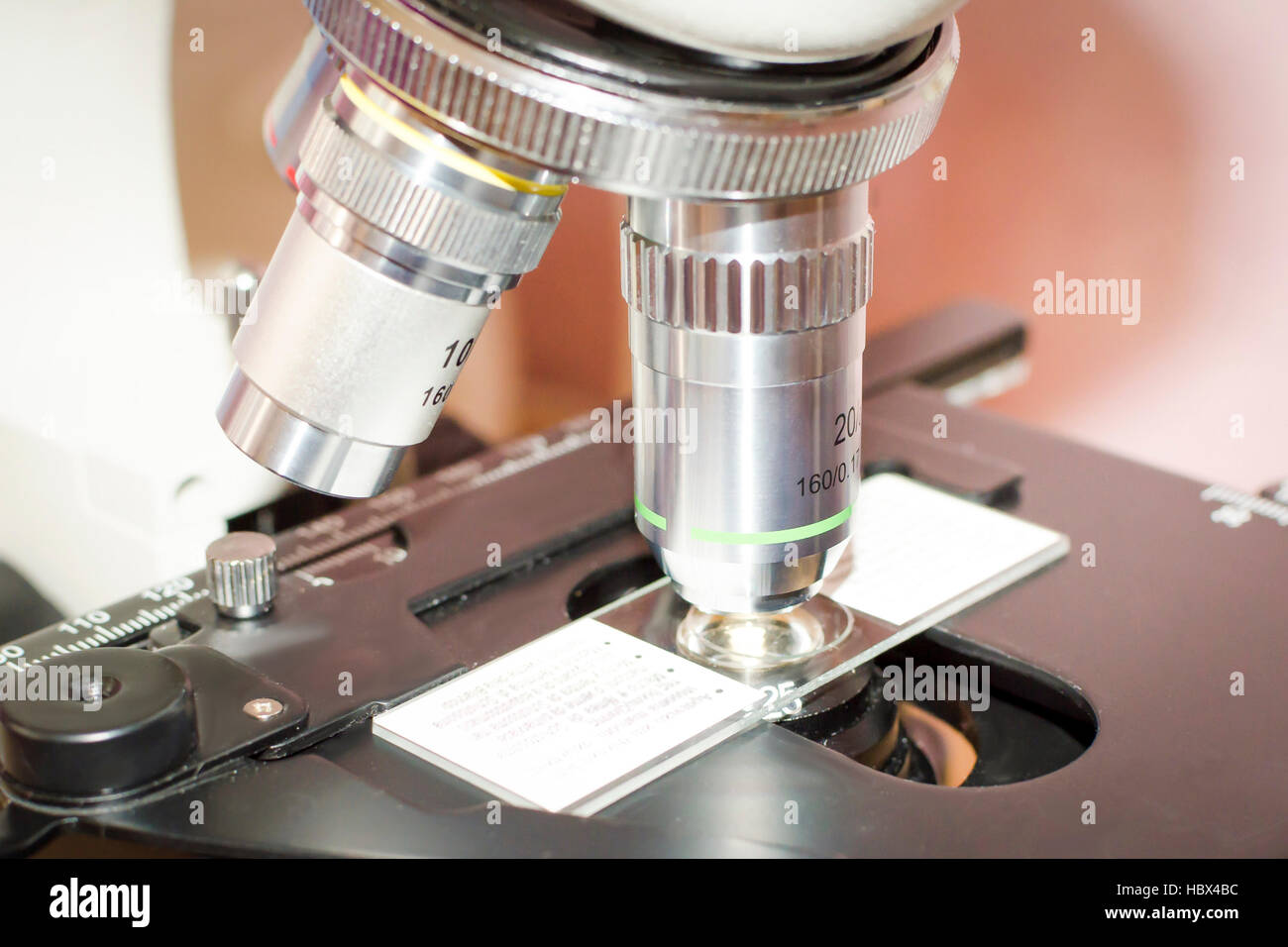 Light microscope. This piece of equipment is used to magnify the image