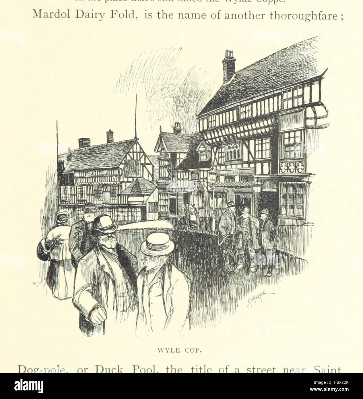 The Marches of Wales. Notes and impressions on the Welsh Borders, etc