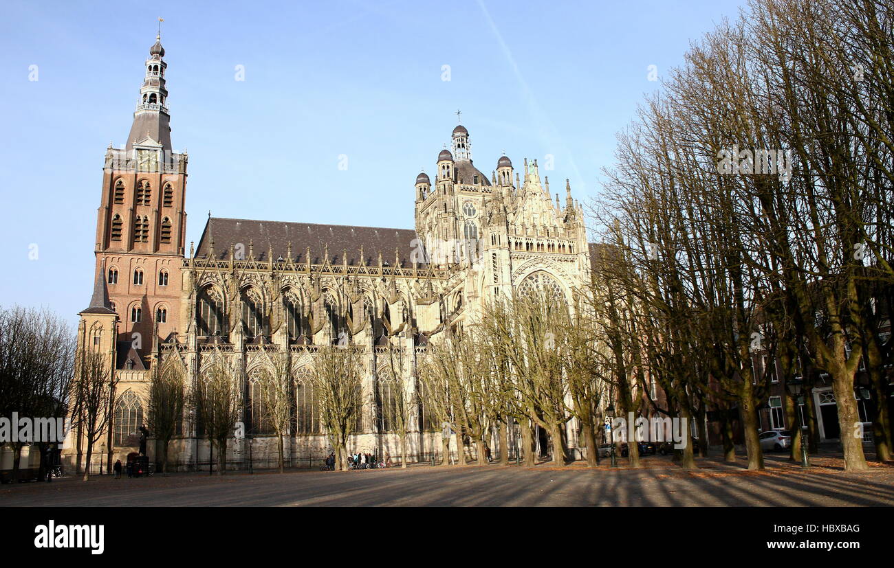 Medieval Sint-Janskathedraal (St. John's Cathedral), city of Den Bosch, Brabant, Netherlands, seen from Parade square. Brabantine Gothic Stock Photo