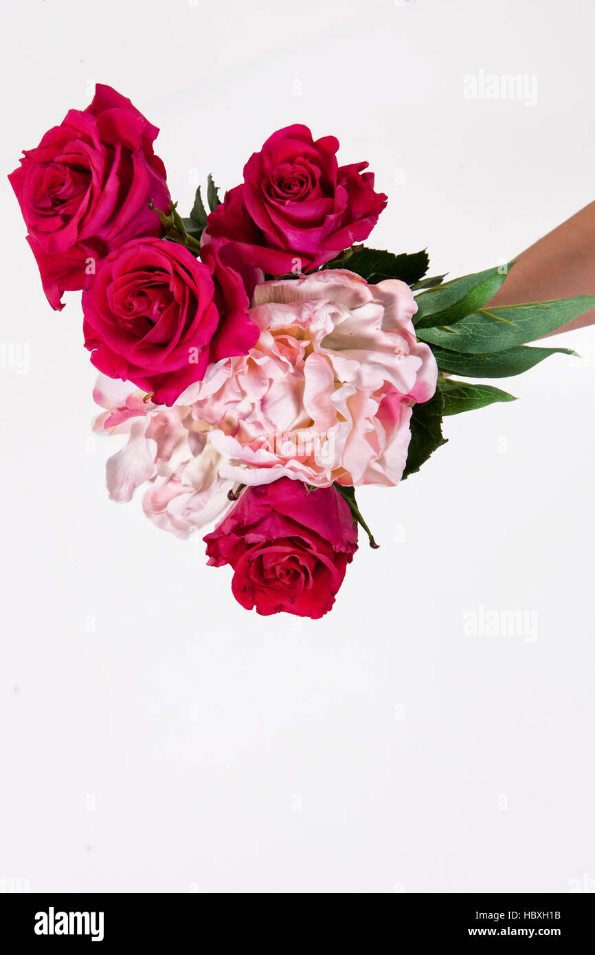 Hands And Flowers Stock Photo Alamy