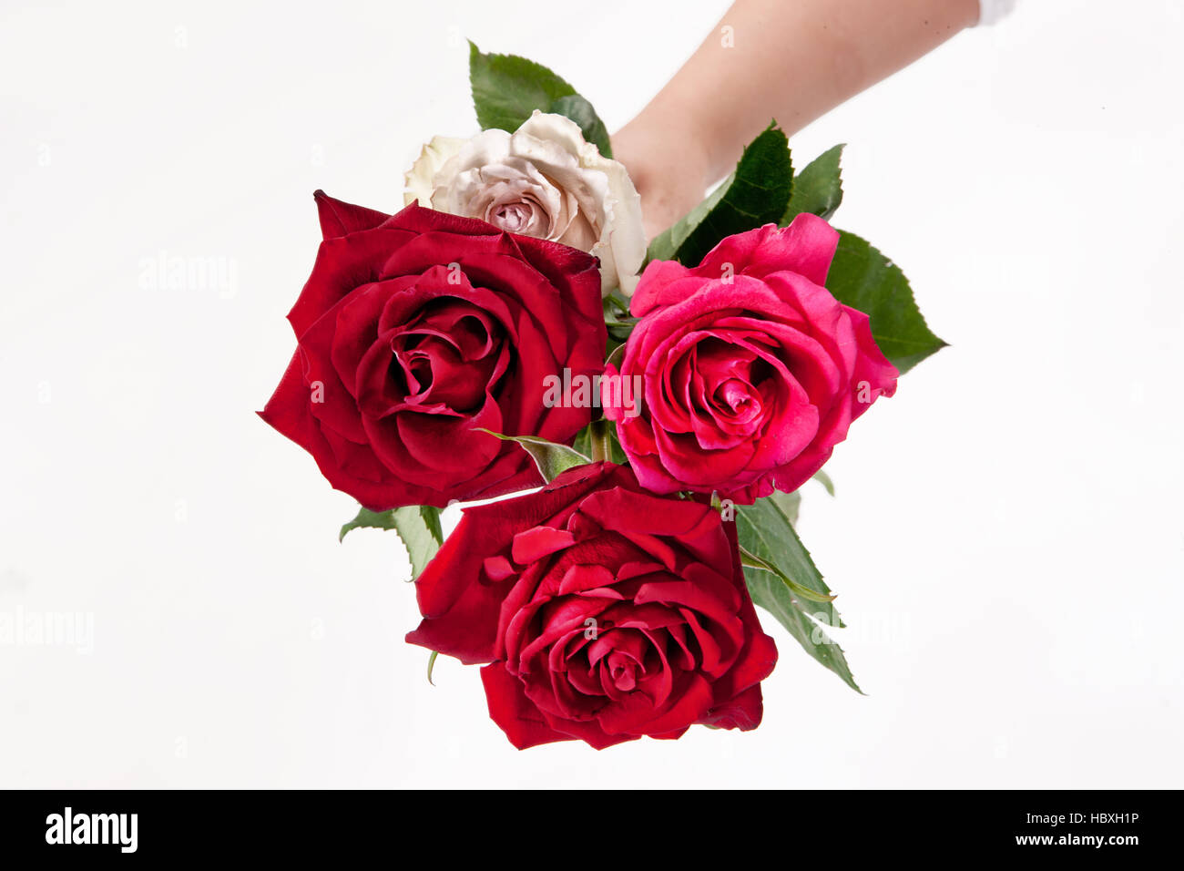 Hands And Flowers Stock Photo Alamy