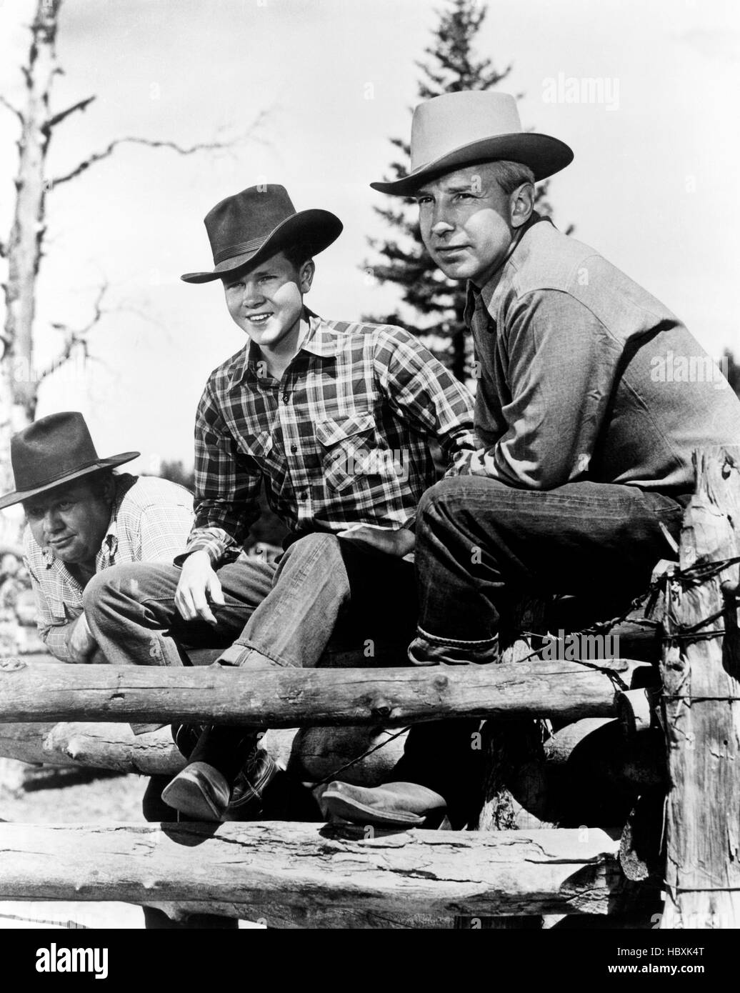 GREEN GRASS OF WYOMING, from left, Burl Ives, Robert Arthur, Lloyd
