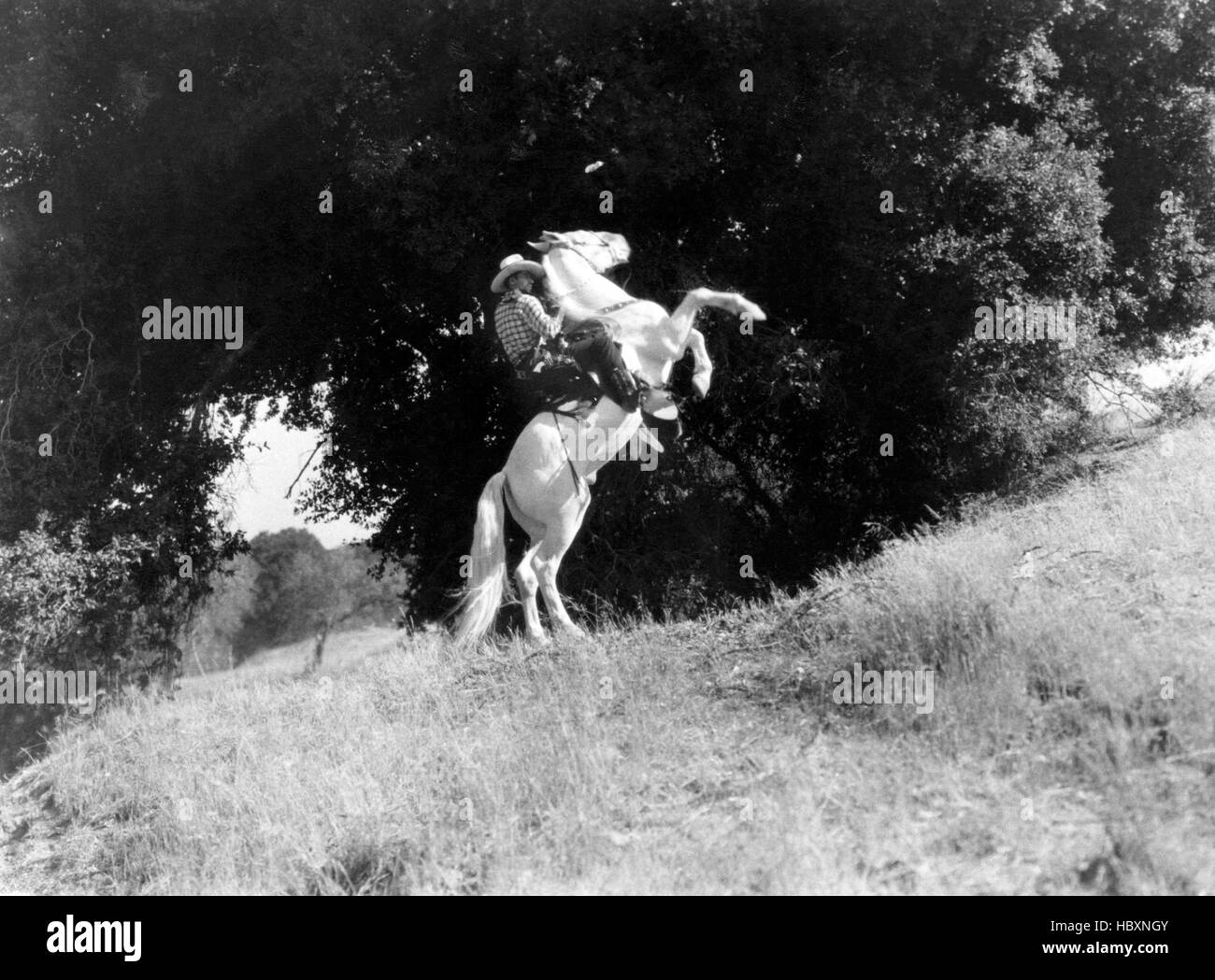 HARLEM ON THE PRAIRIE, Herb Jeffries, 1937 Stock Photo Alamy