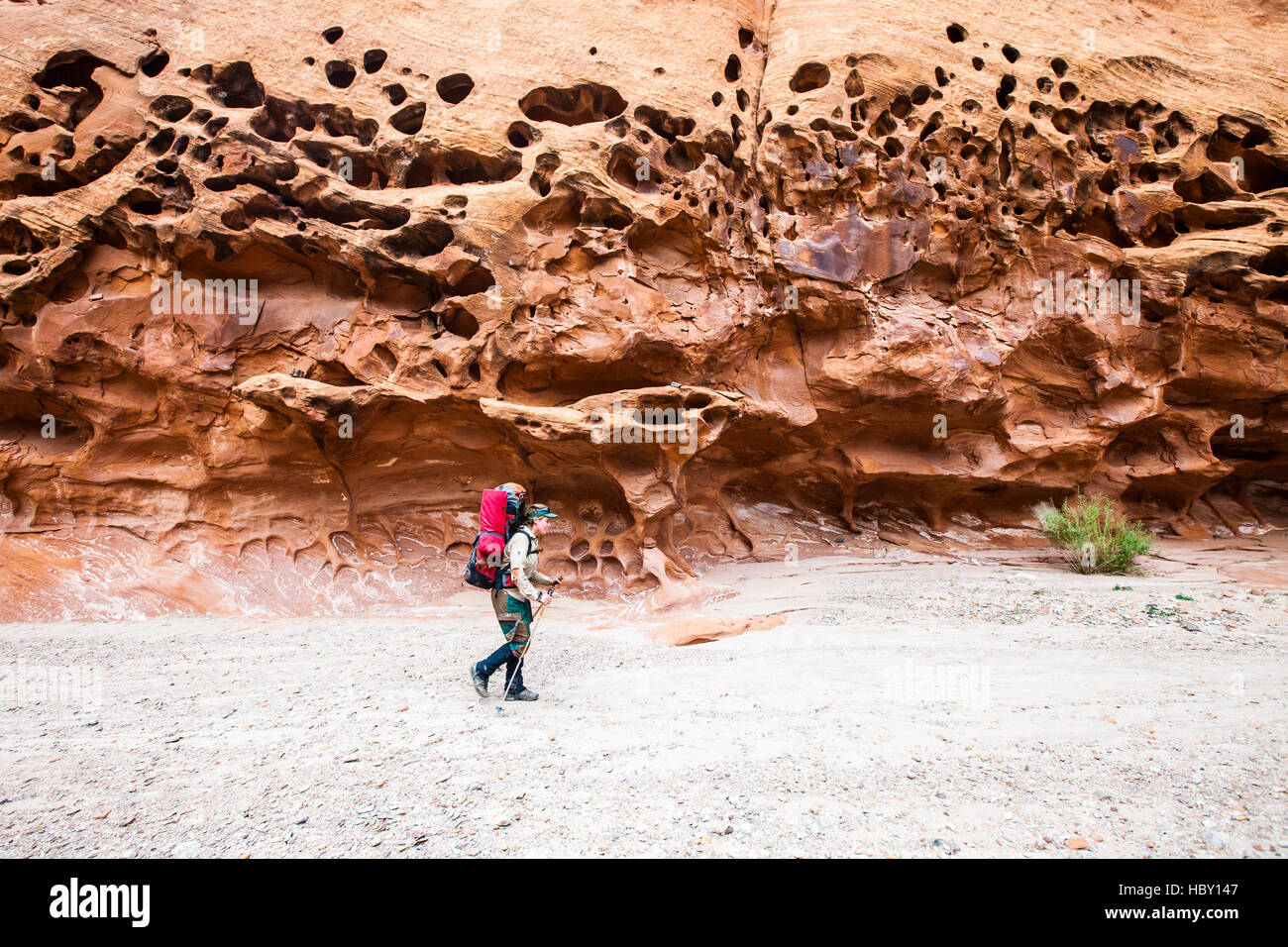 A young woman backpacking through Wolverine Canyon, Utah Stock Photo