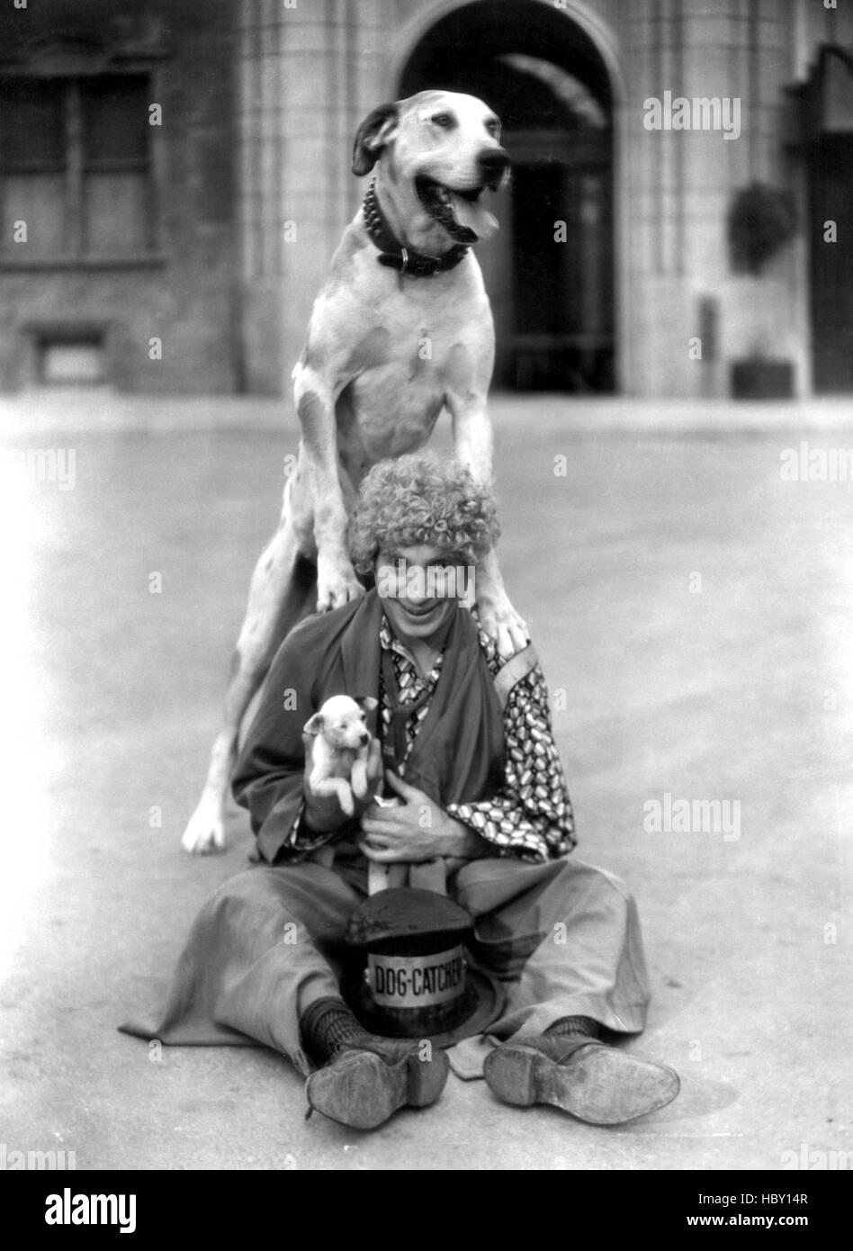 HORSE FEATHERS, Harpo Marx, 1932 Stock Photo Alamy