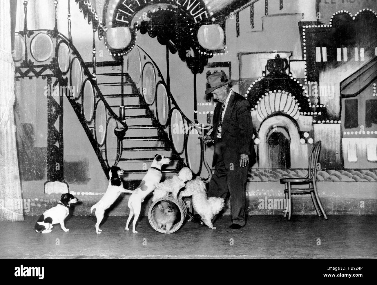 HOLLYWOOD VARIETIES, Hector and His Pals, 1950 Stock Photo Alamy