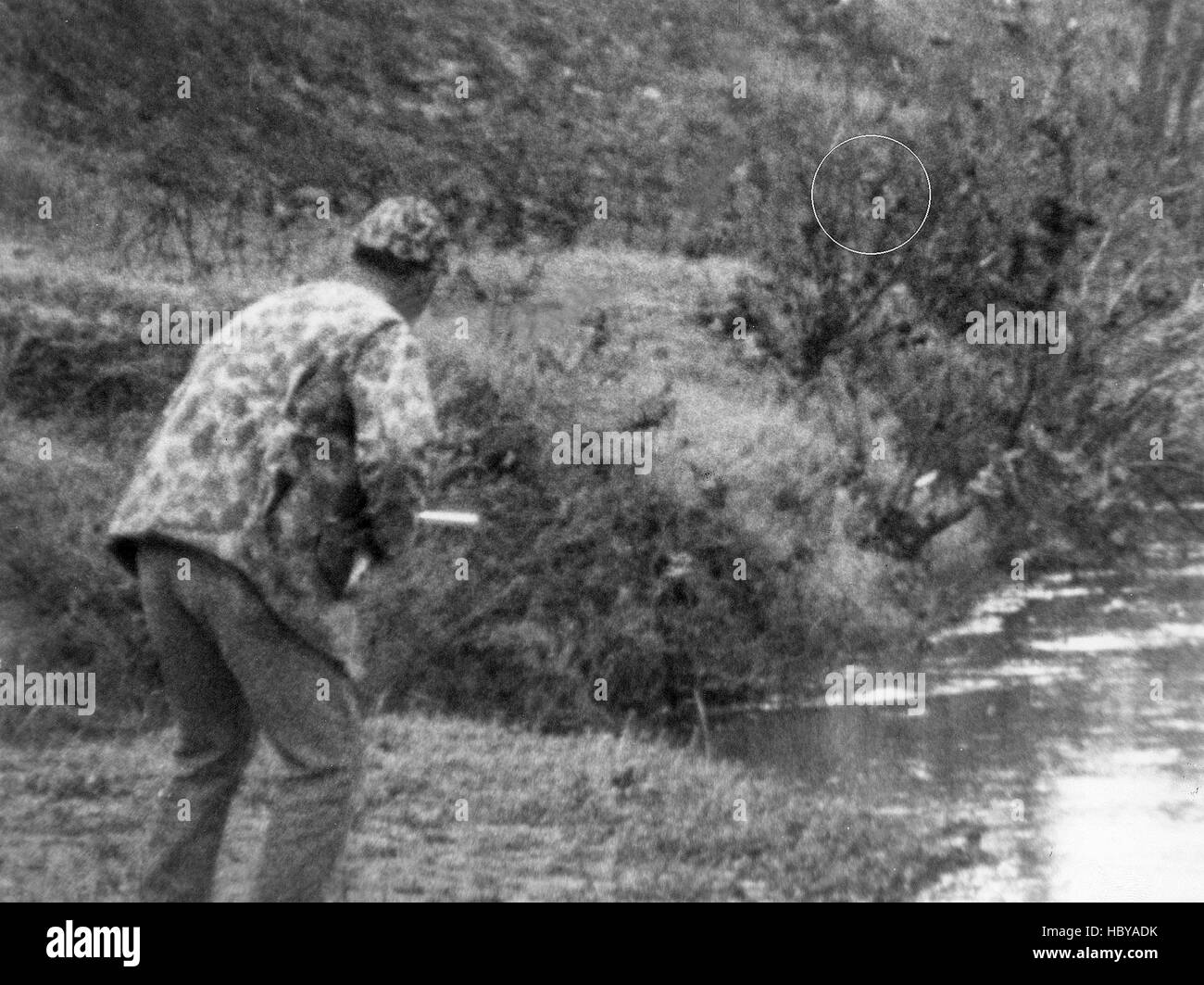 THE LEGEND OF BOGGY CREEK, 1973 Stock Photo Alamy
