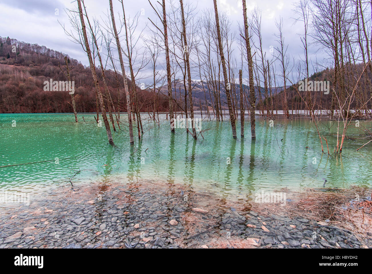 Pollution water lake Stock Photo