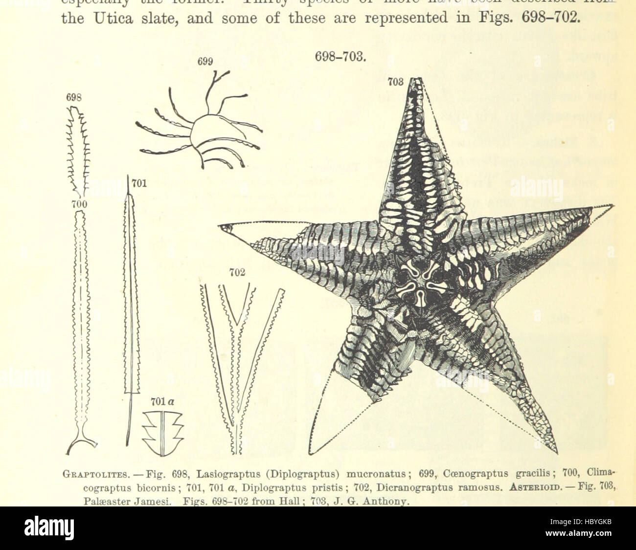 Geologiccal Formation This image from page 520 depicts geological formations and features ...