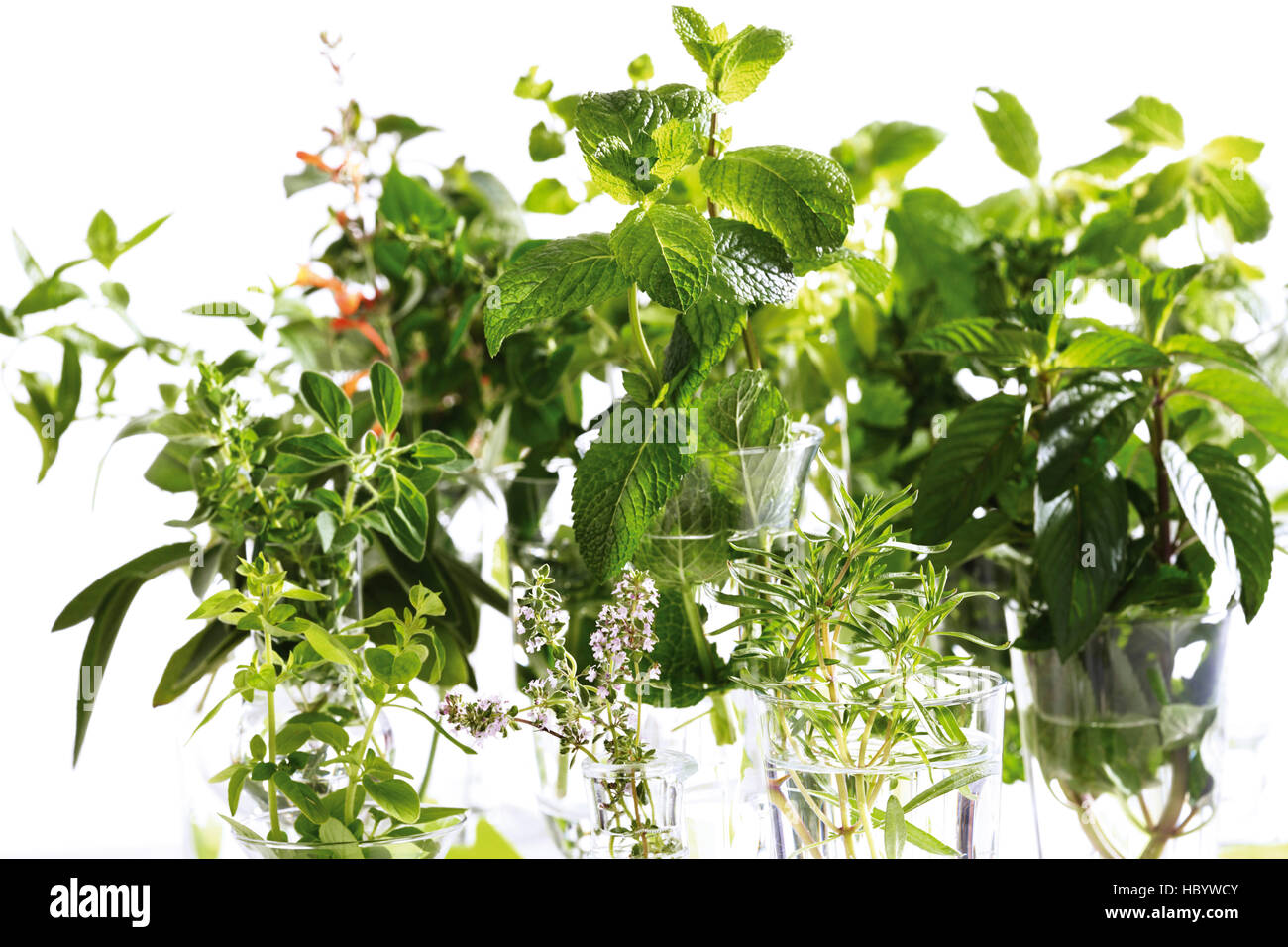 Various kitchen herbs Stock Photo Alamy