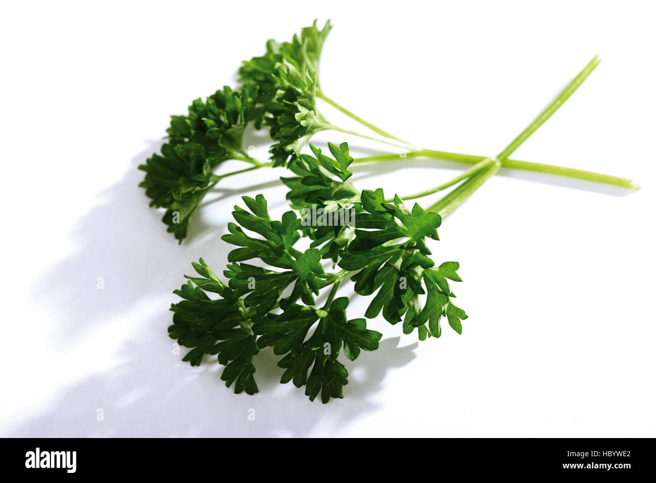 Подружка петрушки. Петрушка подружке петрушку принес подружка. Стихи зарубежных поэтов для детей. Морковь укроп петрушка сельдерей тмин. Петрушка подружке петрушку.