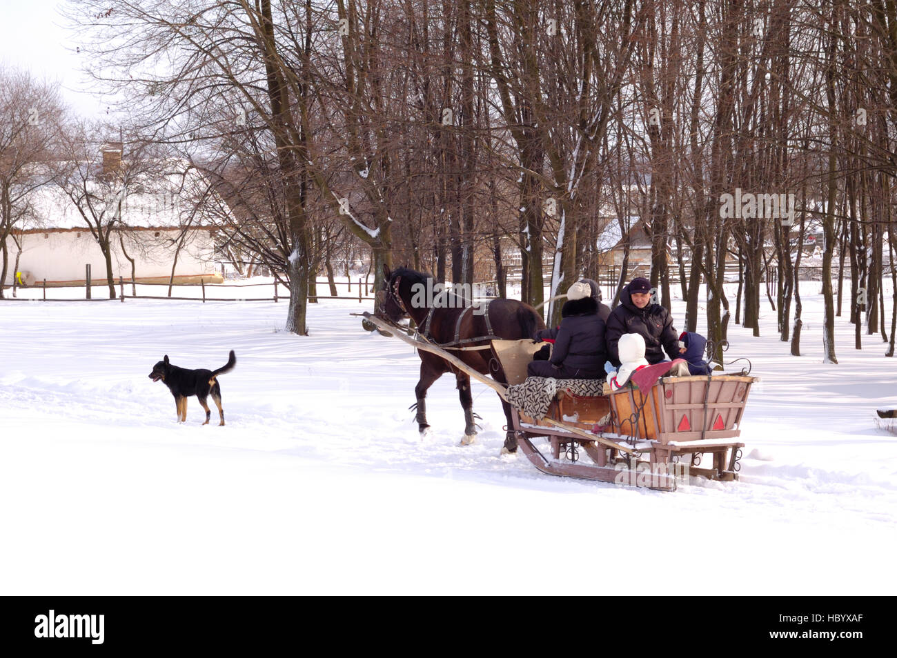 Horse Sleigh Sledge High Resolution Stock Photography and Images - Alamy