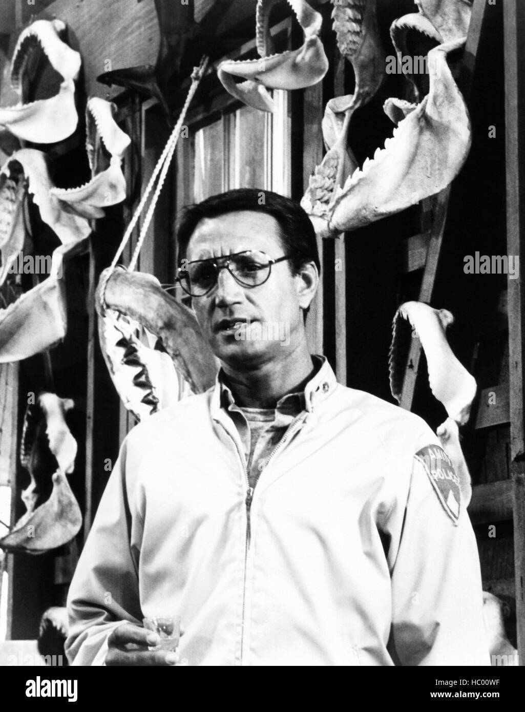 JAWS, Roy Scheider, 1975 Stock Photo - Alamy