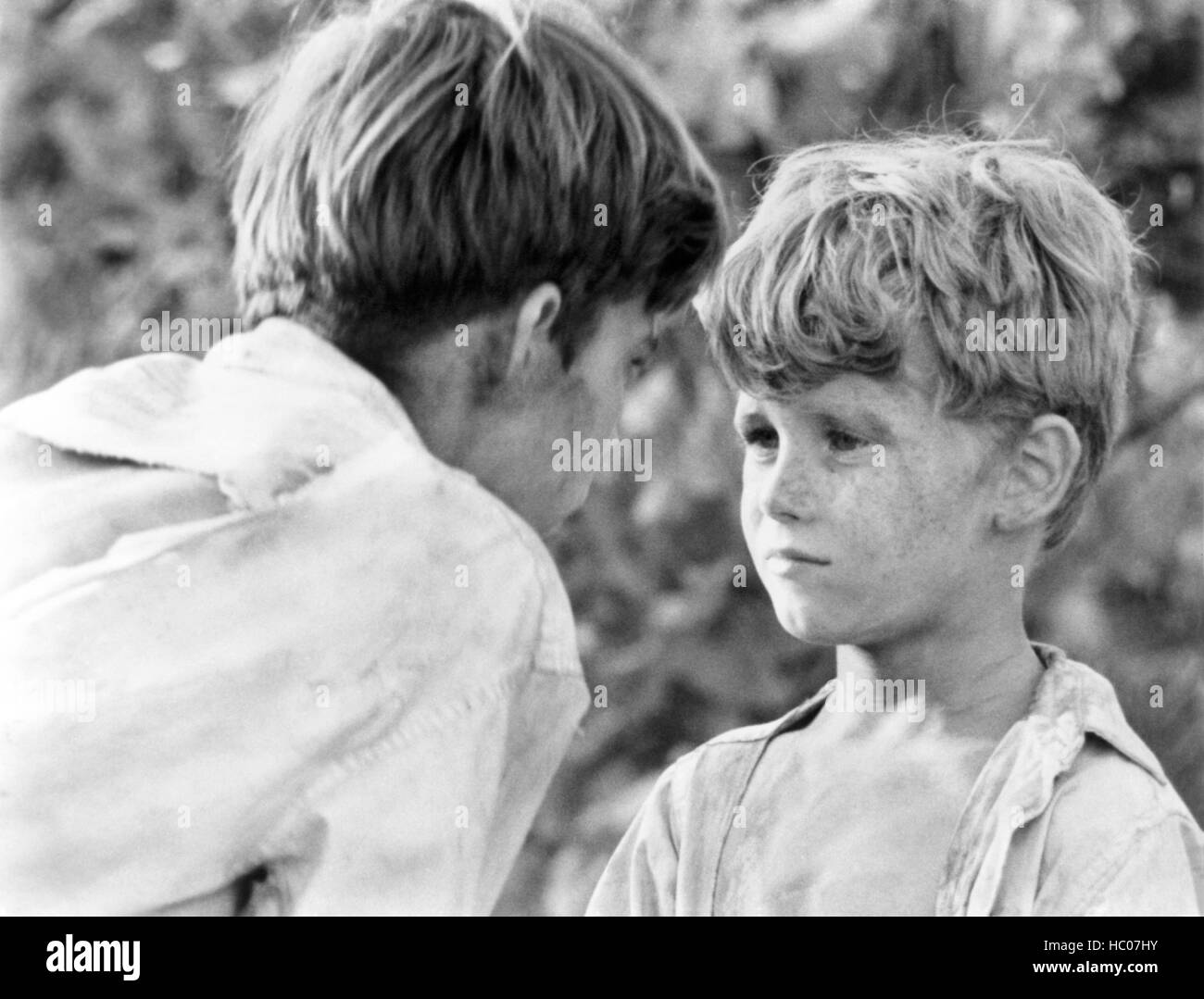 LORD OF THE FLIES left: James Aubrey 1963 Stock Photo Alamy LORD OF THE FLIES left: James Aubrey 1963 Stock Photo Alamy