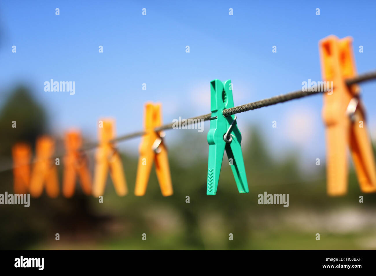 clothespin on the rope outdoor Stock Photo Alamy