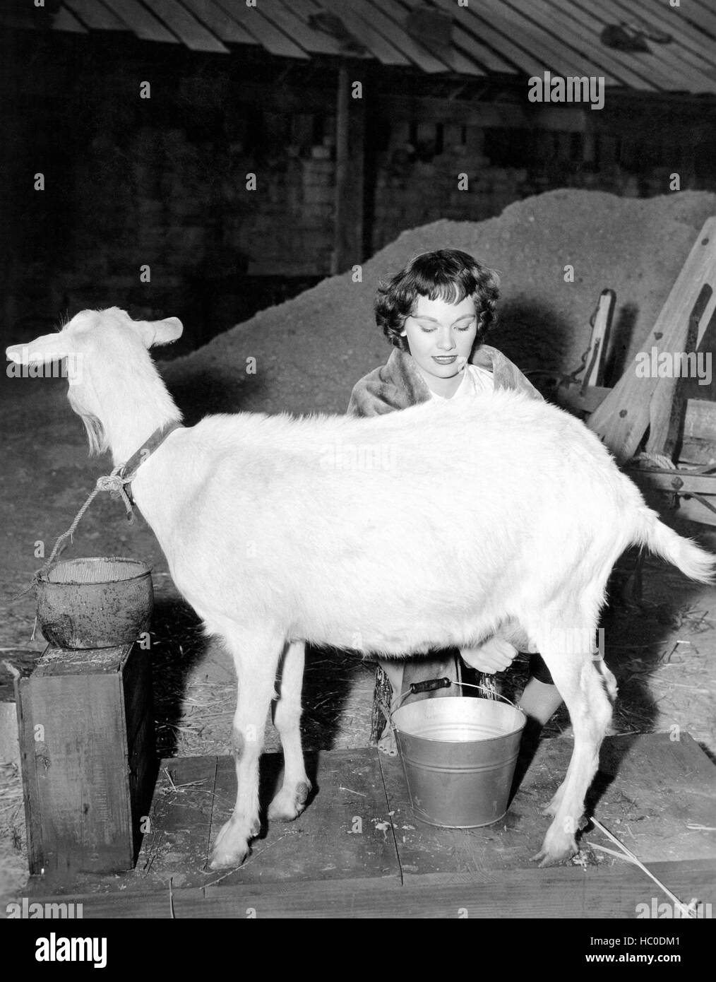 THE KETTLES ON OLD MACDONALD'S FARM, Gloria Talbott practices her goat