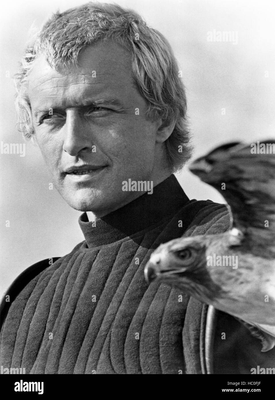 LADYHAWKE, Rutger Hauer, 1985, ©Warner Bros. Pictures/courtesy Everett ...