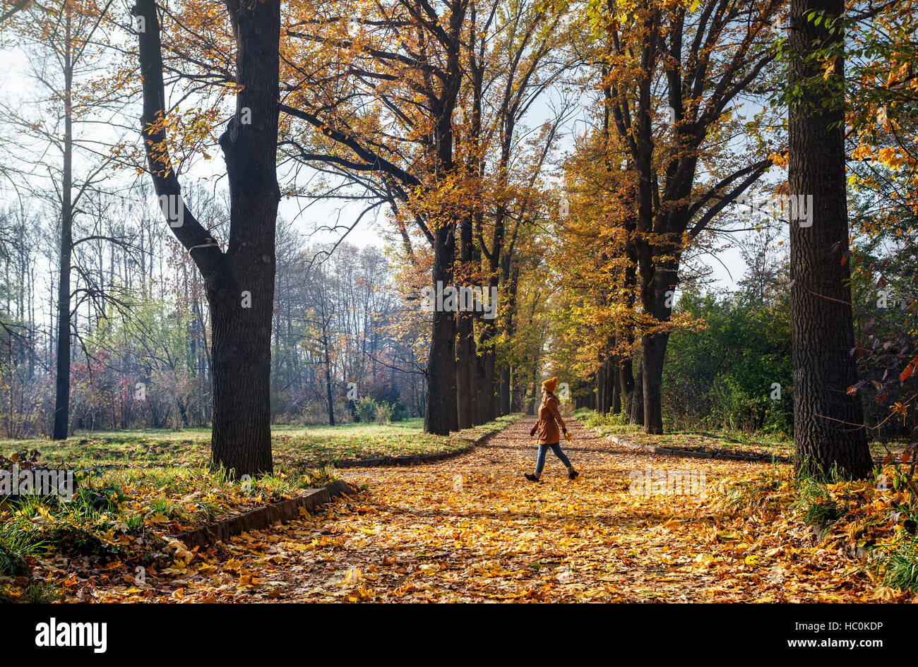 Woman walking down the road with yellow autumn trees in the park Stock ...