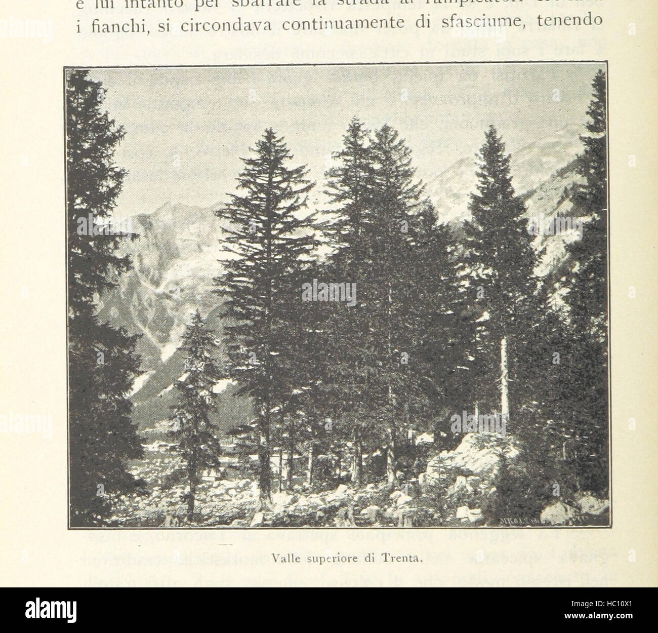 Image taken from page 68 of 'Alpi Giulie. Seguito ai libri Marine istriane, Lagune di Grado, etc. [With plates.]' Image taken from page 68 of 'Alpi Giulie Seguito ai Stock Photo