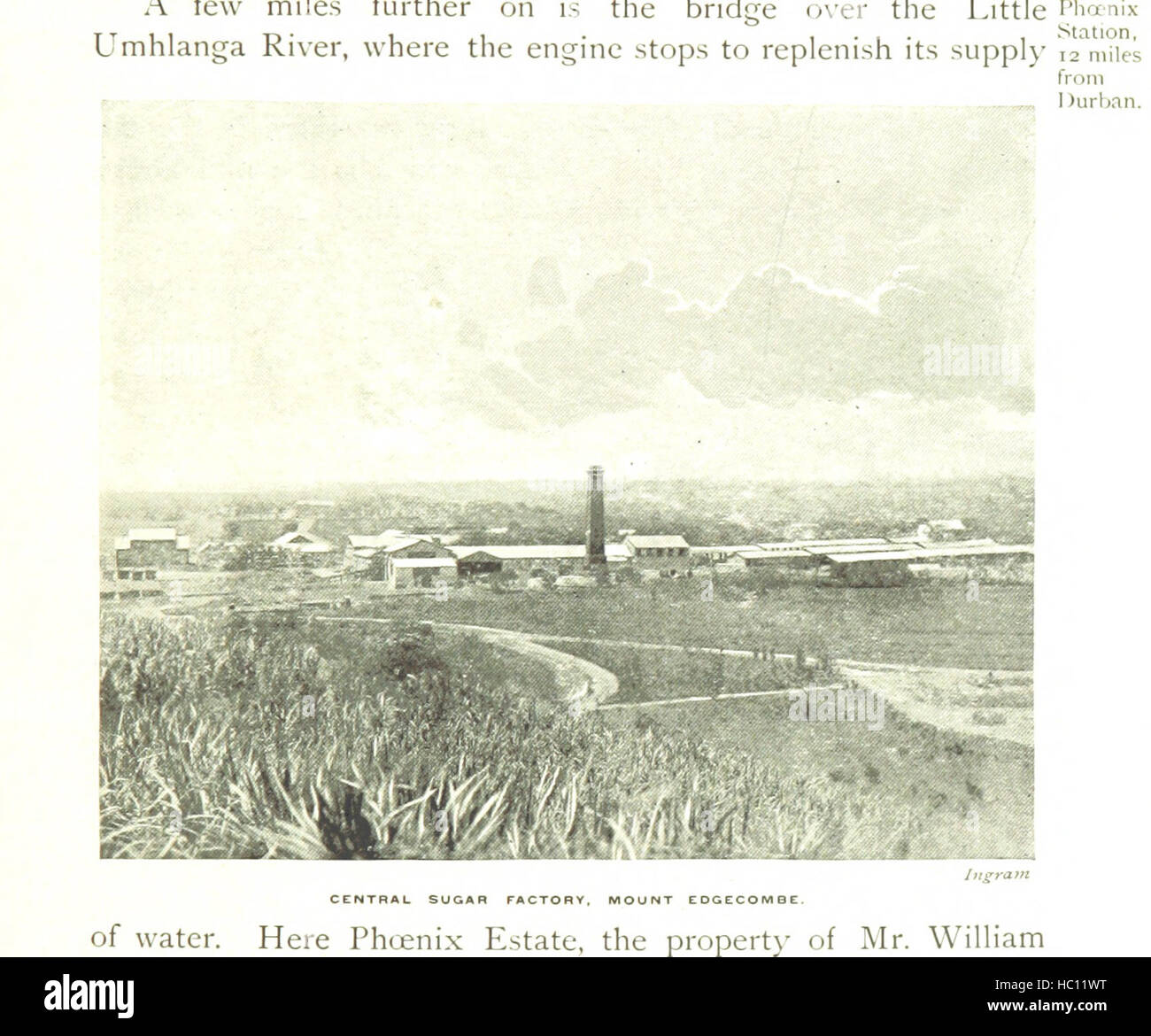 Image taken from page 145 of 'The Colony of Natal. An official illustrated handbook and railway guide' Image taken from page 145 of 'The Colony of Natal Stock Photo