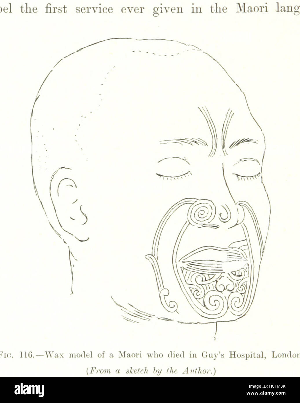 Image taken from page 138 of 'Moko; or, Maori Tattooing ... With ... illustrations, etc' Image taken from page 138 of 'Moko; or, Maori Tattooing Stock Photo