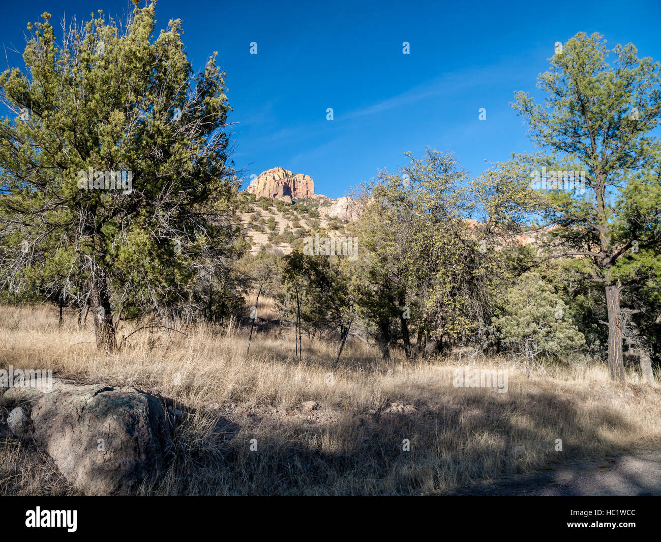 Cave Creek Canyon Arizona Stock Photo Alamy