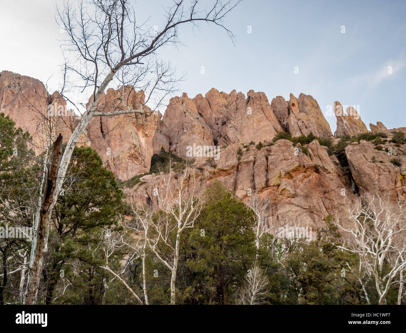 Cave Creek Canyon Arizona Stock Photo Alamy